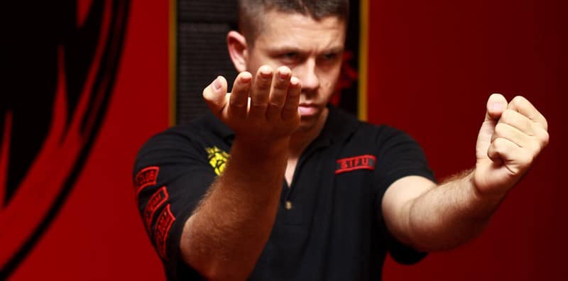 different wing chun lineages
